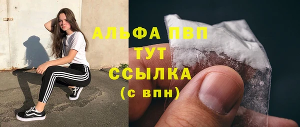 сатива Няндома