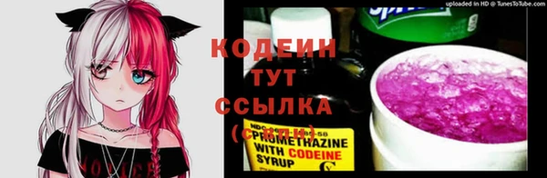 сатива Няндома