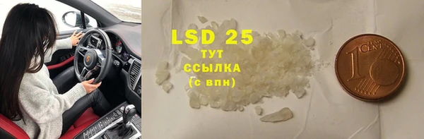 сатива Няндома