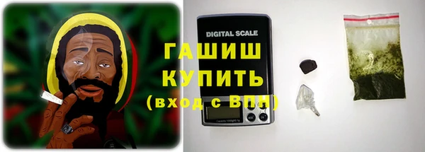 сатива Няндома