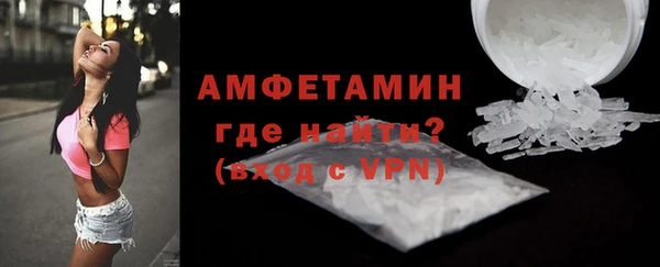 сатива Няндома