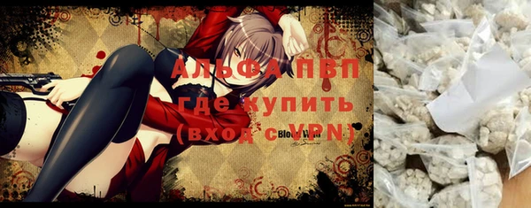 сатива Няндома