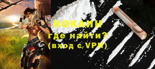 сатива Няндома