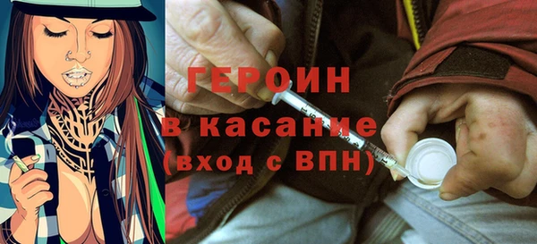 сатива Няндома