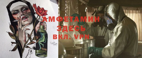 сатива Няндома