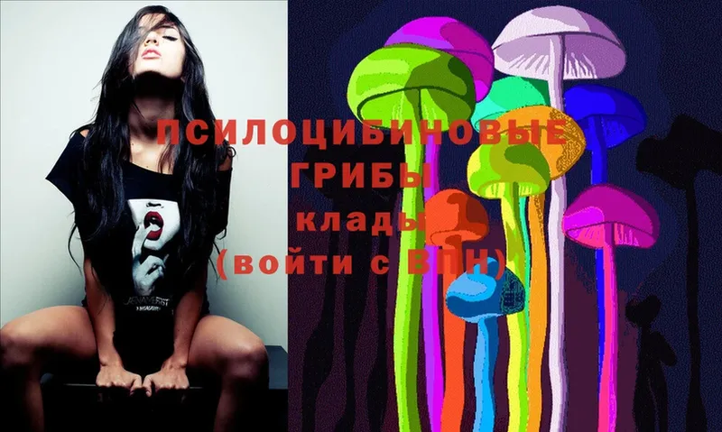 Псилоцибиновые грибы Magic Shrooms  где купить наркоту  Харовск 